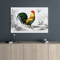 Vintage Rooster Canvas Print | French Country Farmhouse Wall Art | Premium 1.25" Gallery Wrap | Farmhouse Decor for Kitchen or Dining Room